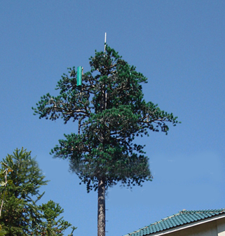 仿生阔叶树接闪器