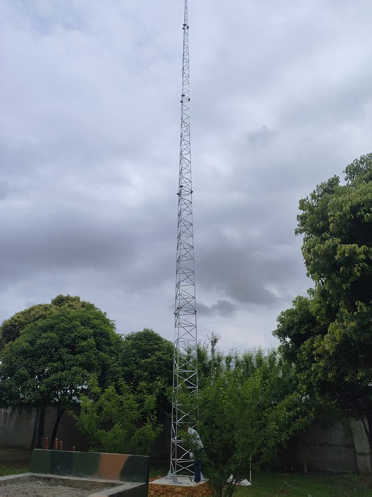 鲁山某单位GJT避雷针塔施工项目