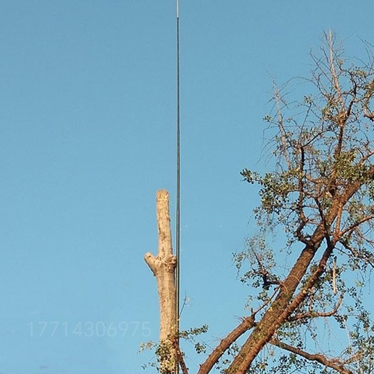 1756342374122495.jpeg e52971c73809e6b79e722430c837bbc9.jpeg